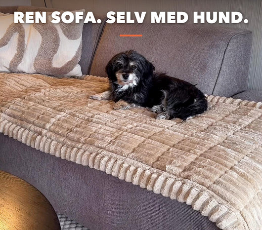 Cozy Sofa Cover – The dog’s favorite spot