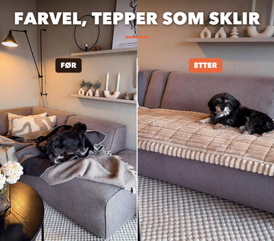 Cozy Sofa Cover – The dog’s favorite spot
