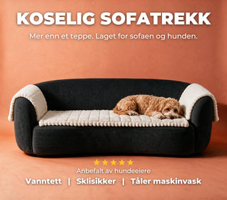 Cozy Sofa Cover – The dog’s favorite spot
